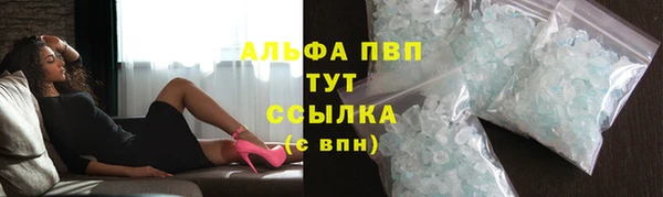 Альфа ПВП Новозыбков