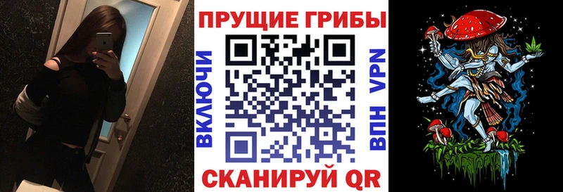 цена наркотик  Одинцово  Псилоцибиновые грибы Magic Shrooms 