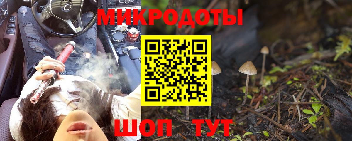 Галлюциногенные грибы MAGIC MUSHROOMS  где можно купить   Одинцово  Вход с VPN  Псилоцибиновые грибы GOLDEN TEACHER 